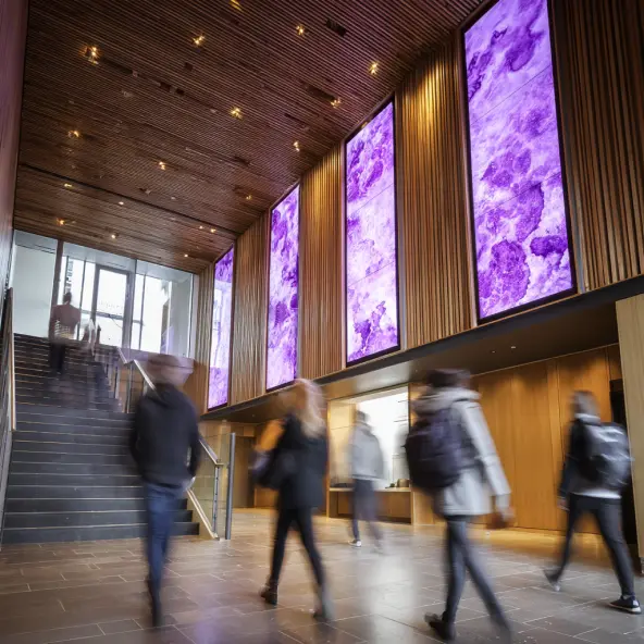 Digital Signage rendszerek oktatási környezetben